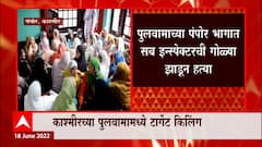 Pulwama : काश्मीरच्या पुलवामामध्ये आणखी एक टार्गेट किलिंग, सब इन्स्पेक्टरची गोळ्या झाडून हत्या