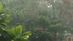 ભરુચઃ ભારે પવન સાથે ખાબક્યો ધોધમાર વરસાદ, જુઓ કેવો છે નજારો