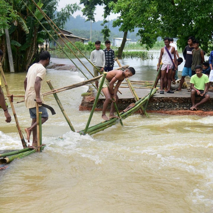 বন্যা-কবলিত জেলার ৪৩৩৩৮.৩৯ হেক্টর জমির ফসল নষ্ট হয়েছে।