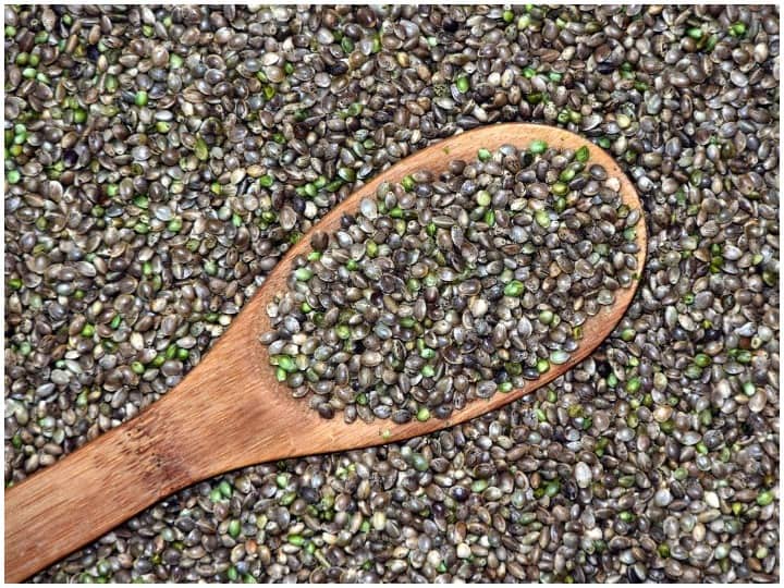 Weight Loss: क्या है हेम्प सीड्स, जानिए वजन घटाने के लिए कैसे करें इस्तेमाल Hemp Seeds For Weight Loss Hemp Seeds Nutrition Benefits How To Eat Hemp Seeds Weight Loss: क्या है हेम्प सीड्स, जानिए वजन घटाने के लिए कैसे करें इस्तेमाल