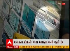 બનાસકાંઠા: રખડતા ઢોરના આતંકનો વિડિયો આવ્યો સામે