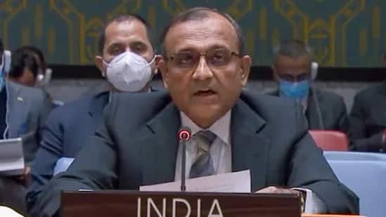 There Cannot Be Double Standards: India On 'Religiophobia' At UN 'There Cannot Be Double Standards On Religiophobia': India On Hate Speech At UN