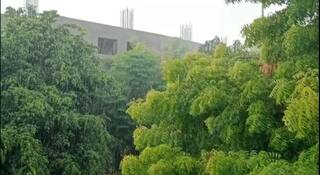 Gujarat Rain: રાજ્યમાં વરસાદી માહોલ, સુરતના ગ્રામ્ય વિસ્તારમાં વીજળીના કડાકા ભડાકા સાથે વરસાદ