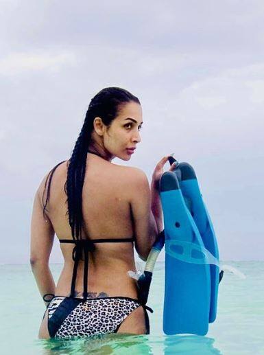 ਮਲਾਇਕਾ ਅਰੋੜਾ ਨੇ ਬਿਕਨੀ ਪਹਿਨ ਪਾਣੀ 'ਚ ਲਗਾਈ ਅੱਗ