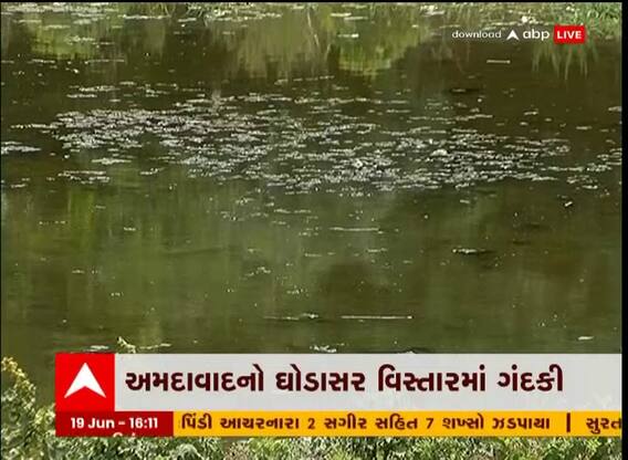 અમદાવાદ: તળાવોમાં ગંદકીના કારણે સ્થાનિકો પરેશાન
