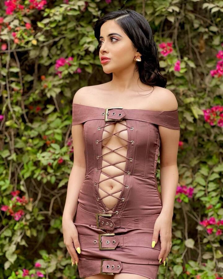 उर्फी जावेद ने कुछ समय पहले छोटे पर्दे के मशहूर शो बिग बॉस के ओटीटी सीजन 1 में खूब धमाल मचाया था. जिसकी वजह से उर्फी सुर्खियों में रही थीं.