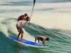 Watch: शख्स ने ऊंची लहरों के बीच दो कुत्तों के साथ की Surfing, वीडियो देख हैरान रह जाएंगे आप