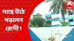 Pavlov : পাভলভ মানসিক হাসপাতালে গাছে উঠে পড়লেন রোগী !