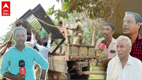 Plans To Catch Tiger: ఆఫీసర్ల మధ్య సమన్వయం లేదంటూ ఆగ్రహం వ్యక్తం చేస్తున్న శరభవరం గ్రామస్థులు