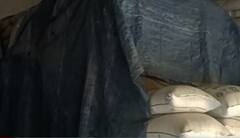 દ્વારકાઃ ભાણવડમાં સરકારી અનાજનું ઝડપાયું કૌભાંડ, કેવી રીતે રાખતા હતા અનાજ?