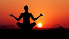 International Yoga Day 2022: আমেরিকায় একাধিক জায়গায় যোগ শিবির, মিলল বিপুল সাড়া