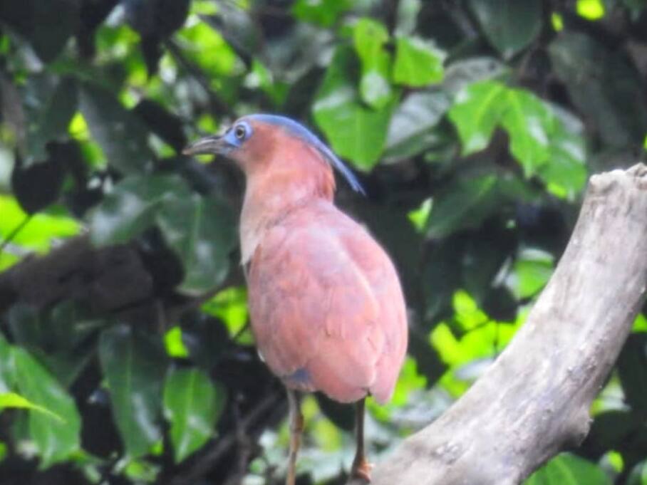 Porno tomosha qiling: Vannadagi lanet onam