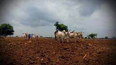 Early monsoon in Khammam: ముందస్తు రుతుపవనాలతో ఖమ్మం రైతన్నలు రెడీ | ABP Desam