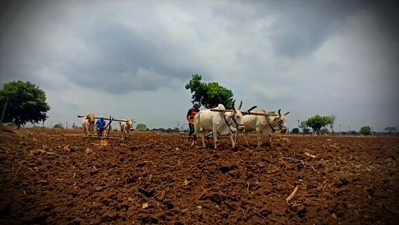 Early monsoon in Khammam: ముందస్తు రుతుపవనాలతో ఖమ్మం రైతన్నలు రెడీ | ABP Desam