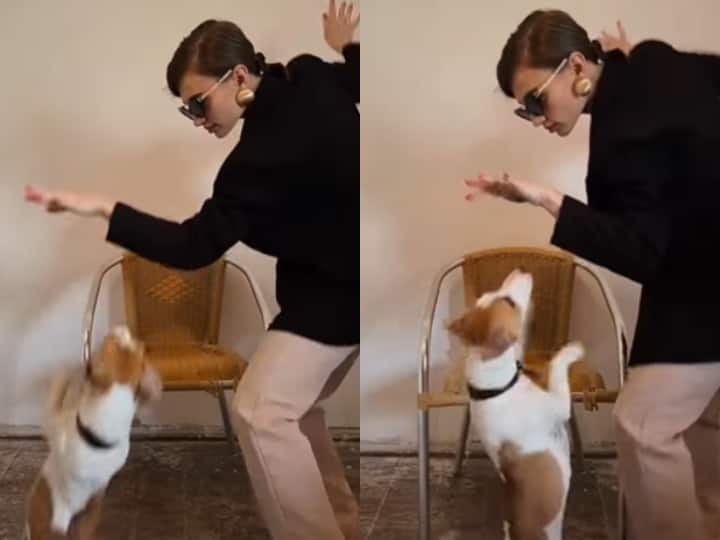 Watch: महिला और कुत्ते के मज़ेदार डांस ने इंटरनेट पर मचाया धमाल, वीडियो वायरल Funny dance of woman and dog video viral on social media Watch: महिला और कुत्ते के मज़ेदार डांस ने इंटरनेट पर मचाया धमाल, वीडियो वायरल