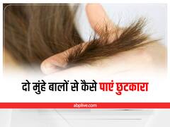 Hair Care: दो मुंहे बालों से कैसे पाएं छुटकारा, इन उपायों से बाल बनेंगे हेल्दी