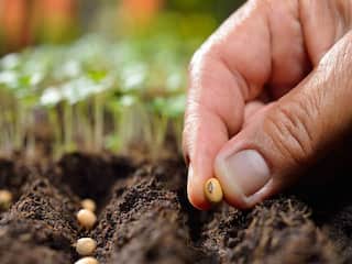 Wardha farmers : आत्महत्याग्रस्त शेतकरी कुटुंबियांना मोफत खतं बी बियाणांचं वाटप, वर्धा सोशल फोरमचा उपक्रम