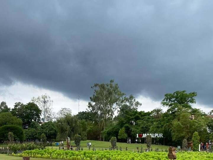 MP News Monsoon active in most parts of MP know which districts have heavy rain warning ANN MP Weather Update: एमपी के अधिकांश हिस्से में सक्रिय हुआ मानसून, मौसम विभाग ने इन जिलों के लिए जारी किया बारिश का अलर्ट