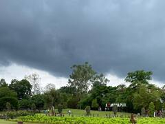 MP Weather Update: एमपी के अधिकांश हिस्से में सक्रिय हुआ मानसून, मौसम विभाग ने इन जिलों के लिए जारी किया बारिश का अलर्ट