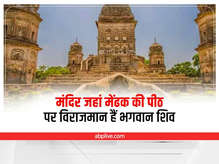 Only temple in country where Lord Shiva is seated on the back of a frog know interesting story Lakhimpur News: देश का इकलौता मंदिर जहां मेंढक की पीठ पर विराजमान हैं भगवान शिव, जानिए दिलचस्प कहानी