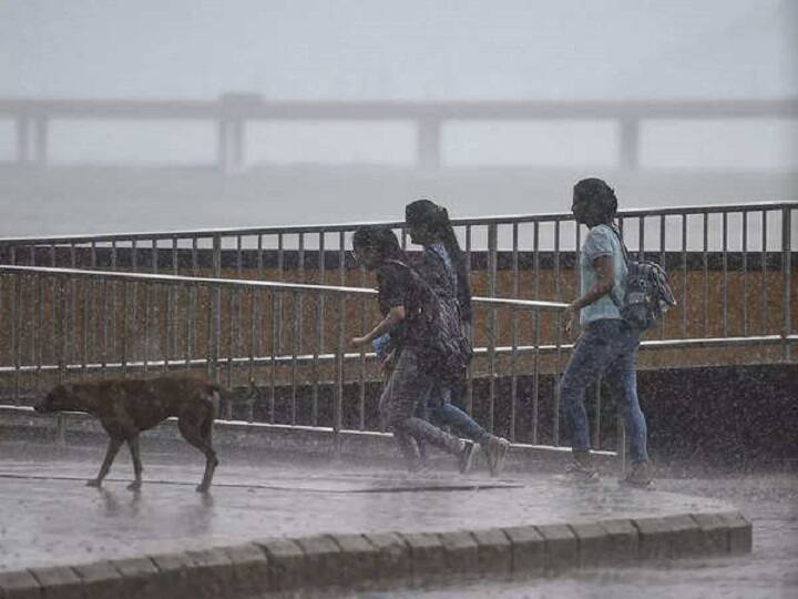 A Video From The Wettest Place In The World. Courtesy: Anand Mahindra Video : 