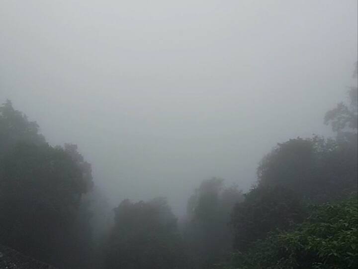 वातावरणात कमालीचा गारवा, दाट धुके, पाऊस आणि फेसाळणारे धबधबे हे अचंबित करणारं रुप आपल्याला आंबोलीत पाहायला मिळतं.