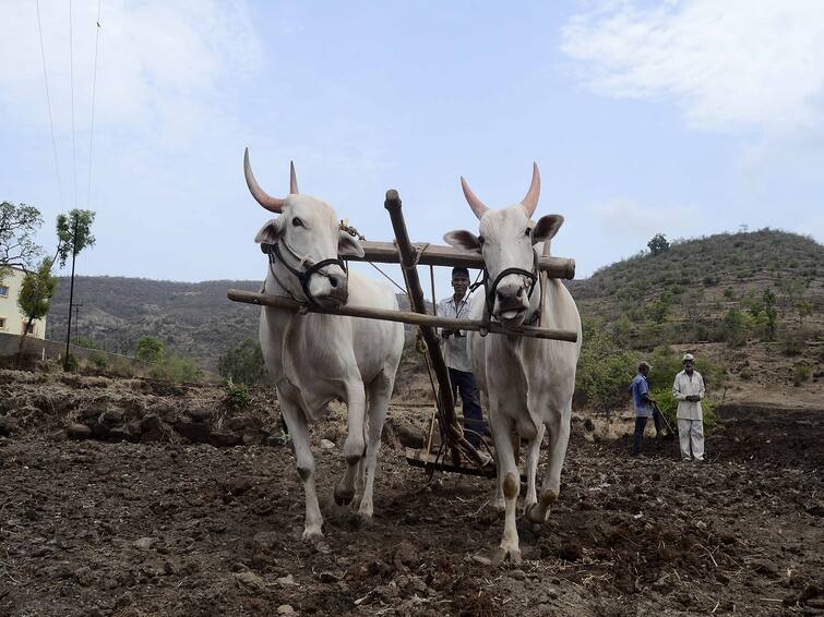 Know about top government scheme for agriculture farmers must have to take benefit Agriculture Schemes: દરેક ખેડૂતે લેવો જોઈએ આ 5 કૃષિ યોજનાનો લાભ, થશે અઢળક ફાયદા