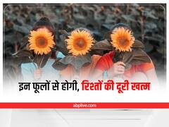 Vastu Tips for Couples: रिश्तों में दूरियां करनी है खत्म, तो घर में लगाएं इन फूलों को