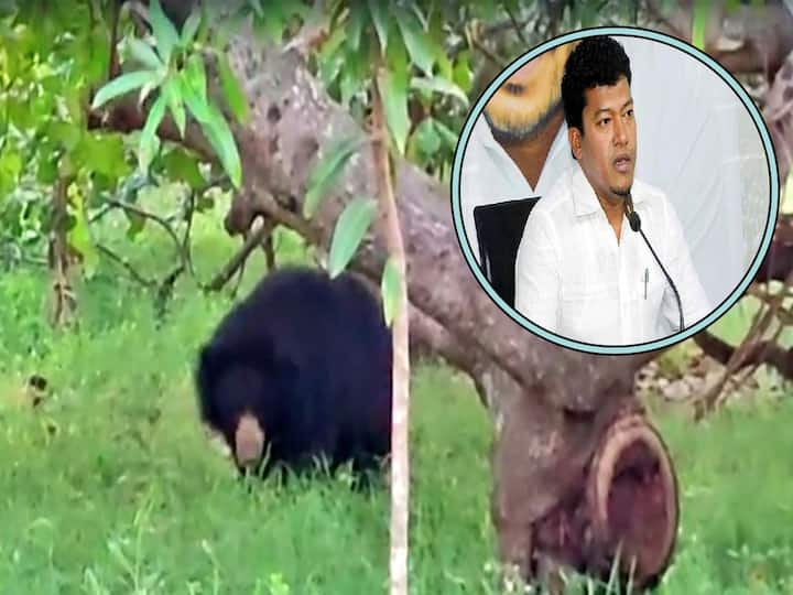 Srikakulam district Bear attacked six people minister seediri appalaraju consoled victims Srikakulam Bear Attack : వజ్రపుకొత్తూరు పరిసర ప్రాంతాల్లో హై అలెర్ట్, ఒంటరిగా బయటకు వెళ్లొద్దు- మంత్రి సీదిరి అప్పలరాజు