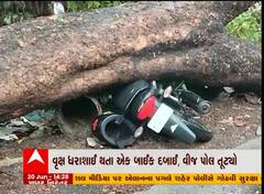 વલસાડ: વૃક્ષ ધરાશાઈ થતા વાહન અને વીજ પોલને નુકસાન