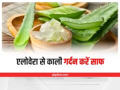 Black Neck : काली गर्दन की परेशानी को झट से दूर करे एलोवेरा, इन 6 तरीकों से करें इस्तेमाल