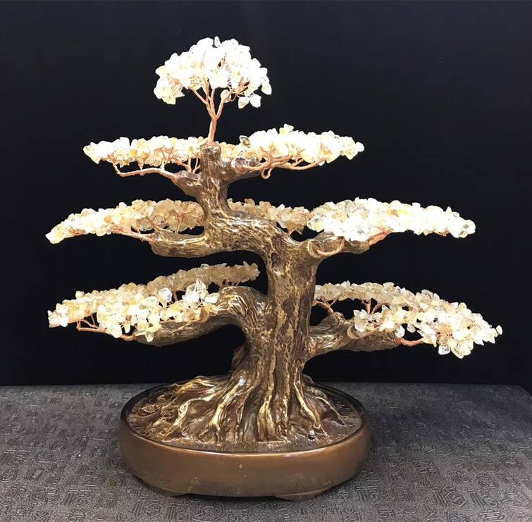 Crystal Tree Benefits astrology marathi news feng shui tips for crystal tree benefit and right direction at home and office Crystal Tree Benefits : घर-ऑफिसमध्ये 'असे' ठेवा क्रिस्टल ट्री, तुमच्याकडे येईल पैसाच पैसा!