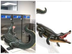 Watch: शख्स ने चॉकलेट से बना डाला खुंखार मगरमच्छ, यूजर्स को नहीं हुआ आंखों पर यकीन