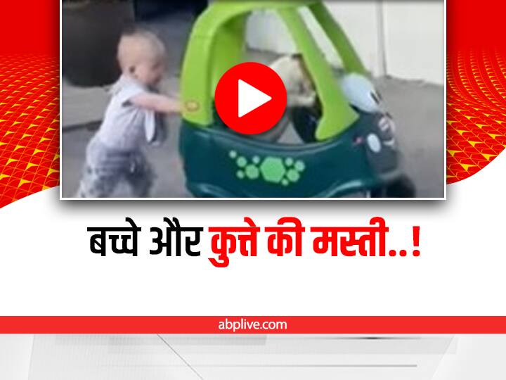 Little kid playing with dog video viral on social media Toy Car में बैठा कुत्ता, पीछे से नन्हे बच्चे ने दिया धक्का, दिल खुश कर देगा ये वीडियो
