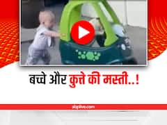 Toy Car में बैठा कुत्ता, पीछे से नन्हे बच्चे ने दिया धक्का, दिल खुश कर देगा ये वीडियो