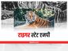 Tiger State MP: मध्य प्रदेश के पास टाइगर स्टेट का ताज रहेगा या जाएगा? सितंबर तक आ सकते हैं टाइगर सेंसेस के नतीजे
