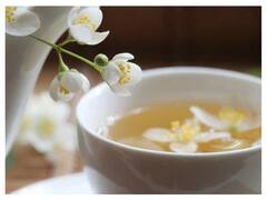 Jasmine Benefits: खुशबू ही नहीं स्वस्थ शरीर के लिए भी इस्तेमाल करें चमेली का फूल