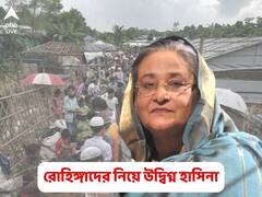 Sheikh Hasina Updates: রোহিঙ্গা বোঝা আর কত দিন বইবে বাংলাদেশ, বিশ্ব শরণার্থী দিবসের আগে প্রশ্ন হাসিনার