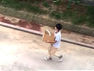 Watch: બિલાડીને બચાવવા માટે છોકરાએ લગાવ્યો એવો તુક્કો કે બધા જોતા રહી ગયા, જુઓ વીડિયો