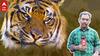 Bengal Tiger Fear Continues:పెద్దపులి భయం వల్ల ఆ 3 మండలాల ప్రజలకు ఇప్పటికీ మనశ్శాంతి లేదు| ABP Desam
