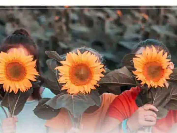these flowers can secure relationship according to vastu  Vastu Tips : नात्यातील दुरावा संपवायचा आहे? घरात लावा 'ही' फुले 