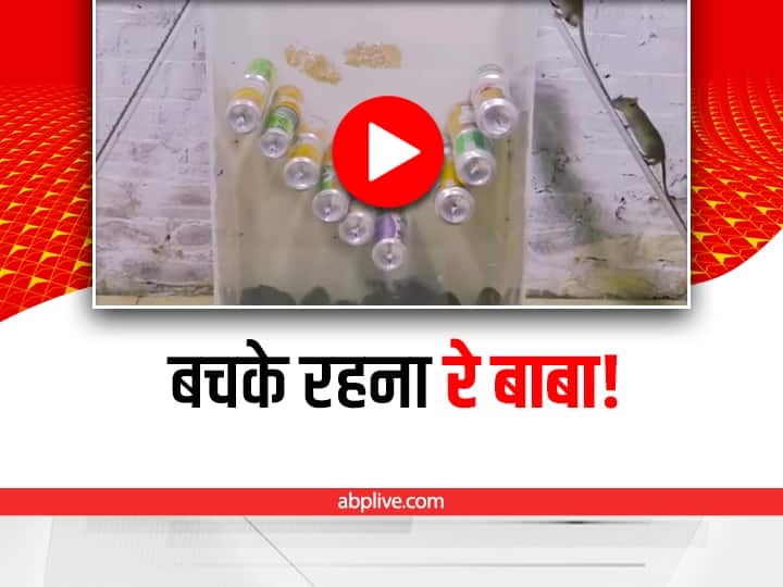 trending video showing to make trap box for catching mouse goes viral on social media Watch Mouse Catching Trick: अगर आप भी चूहों से परेशान हैं तो ये वीडियो देखना न भूलें