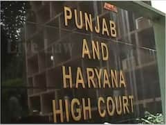 Minor Marriage: 16 ఏళ్లు నిండితే వాళ్లు పెళ్లి చేసుకోవచ్చు, చట్టం ప్రకారం అది సరైన వయసే-పంజాబ్ హైకోర్ట్ తీర్పు