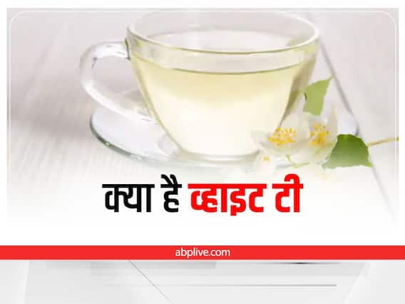 Specialty Of White Tea: क्या है व्हाइट टी, क्यों होती है ये इतनी महंगी, जानें इस चाय के फायदों के बारे में Specialty Of White Tea: क्या है व्हाइट टी, क्यों होती है ये इतनी महंगी, जानें इस चाय के फायदों के बारे में