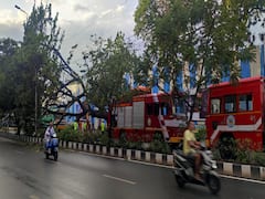 Chennai Rain : சென்னையில் கொட்டி தீர்த்த மழை.. வேரோடு சாய்ந்த பிரமாண்ட மரம்.. அகற்றும் பணியில் தீயணைப்பு வீரர்கள்..
