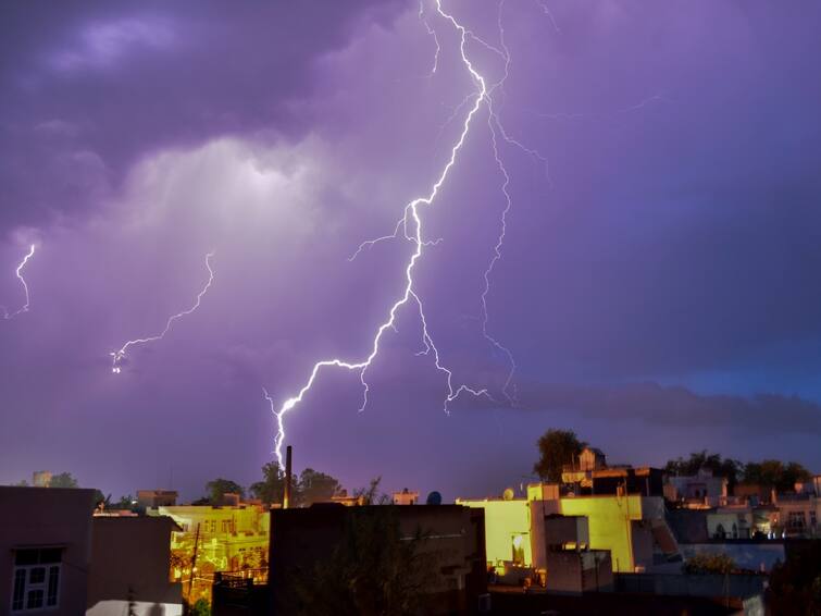 Dont go out during lightning strikes Be careful Collector R Vimala Nagpur : वीजेच्या कडकडाटाच्या काळात घराबाहेर पडू नका; सतर्क रहा, जिल्हाधिकारी आर. विमला यांचे आवाहन