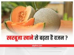 Muskmelon Nutrition Facts: क्या खरबूजा खाने से सच में बढ़ता है वजन? जानिए