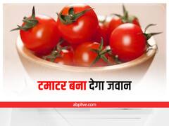 Healthy Food: लंबे समय तक जवां रहना है तो रोज खाएं टमाटर, जानिए फायदे