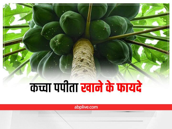 Raw Unripe Papaya Benefits Good For Women Liver Diabetes And Weight Loss Women Health: महिलाओं के लिए क्यों जरूरी है कच्चा पपीता खाना, जानिए