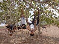 International Yoga Day 2022: क्या कभी पेड़ से लटककर योग करते देखा है? उदयपुर से आई ये तस्वीरें
